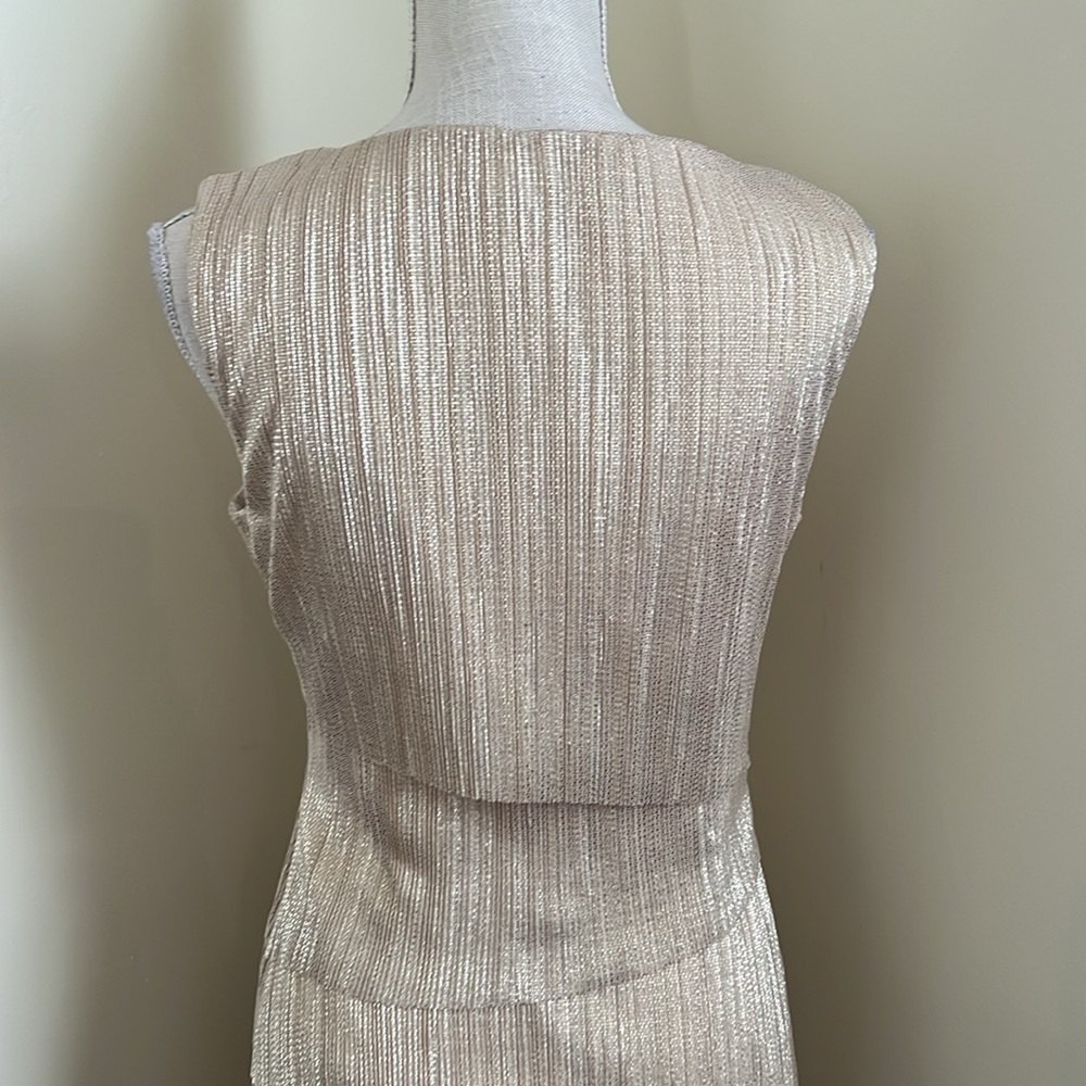 Alex Marie Elegant Gold Sleeveless Dress - Picture 10 of 15